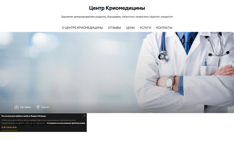 Сайт Центр Криомедицины, Воронеж до редизайна